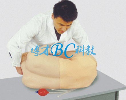 腰椎穿刺訓(xùn)練模型